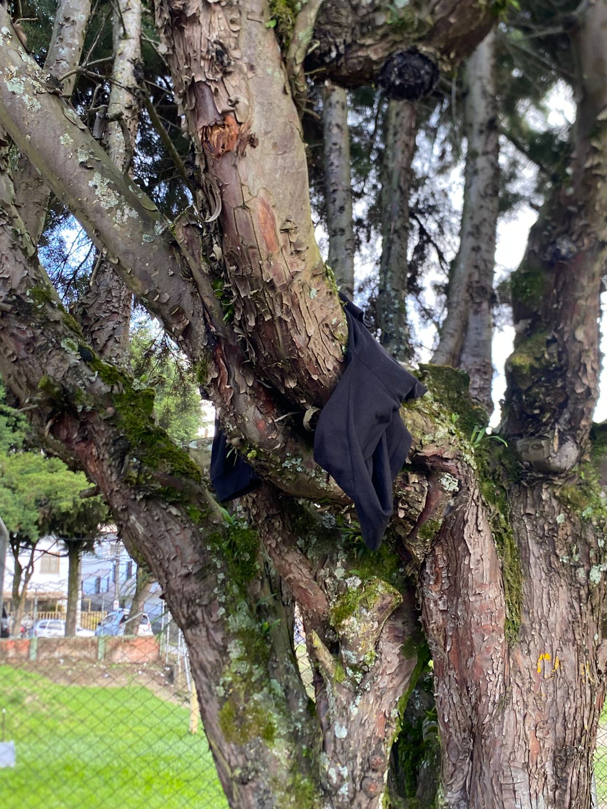 Evidencia 2 - Imagen 1