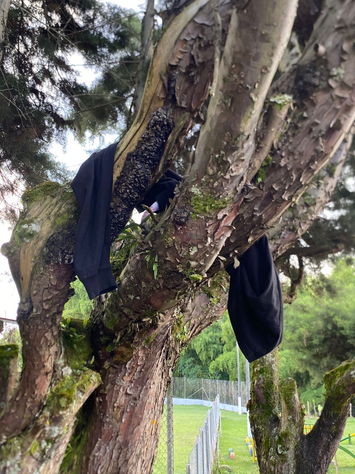 Evidencia 2 - Imagen 2