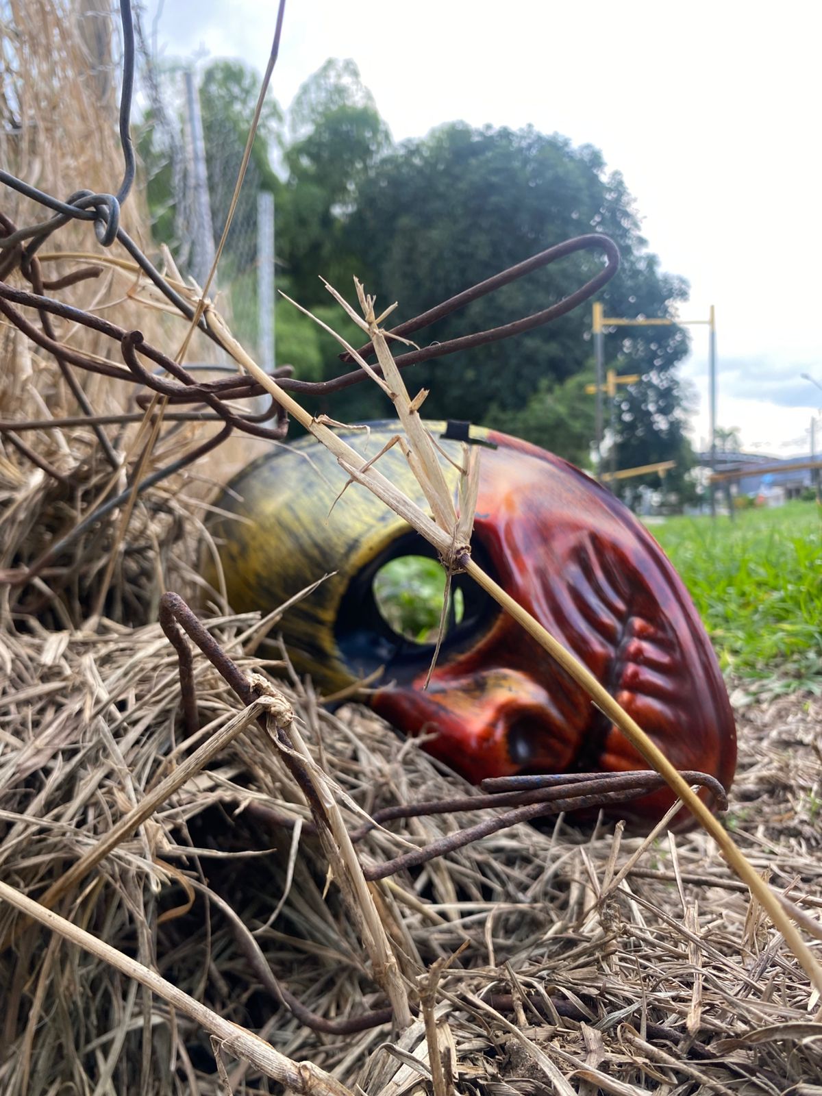 Evidencia 3 - Imagen 2